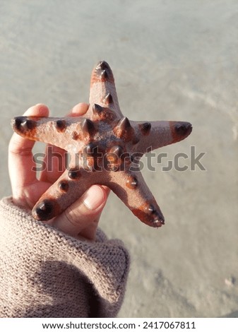 along with starfish, the beach and sunset add to the peace