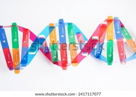 DNA molecule spiral structure model isolated on white background, chromosome and gene chemical science biology.