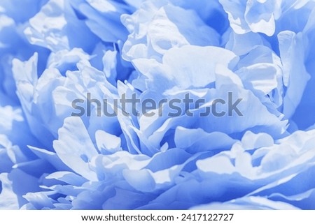 Beautiful view of white blue peonies close up lit by sunlight, midday light shadows, sun glare. Color gradient top view beauty nature aesthetic background. Natural floral pattern, selective focus