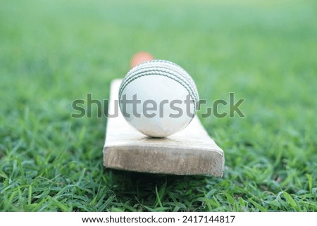 White cricket ball on wooden bat. Concept, sport equipment. Competitive sport. A cricket ball is made with a core of cork, covered by a leather case with a slightly raised sewn seam                   