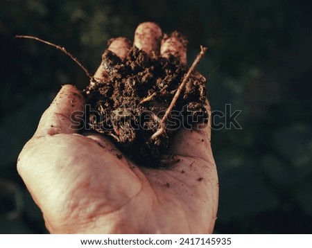 Earthworms in old cow dung On the hand of an Asian man