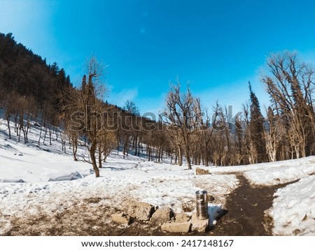 This is an image of the Kedarkantha trek in winter. A few coniferous trees are visible in the background.