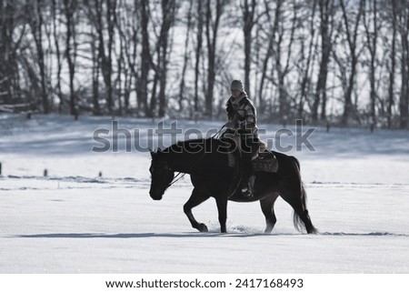 Horse and rider in a white winter landscape in the sunshine.