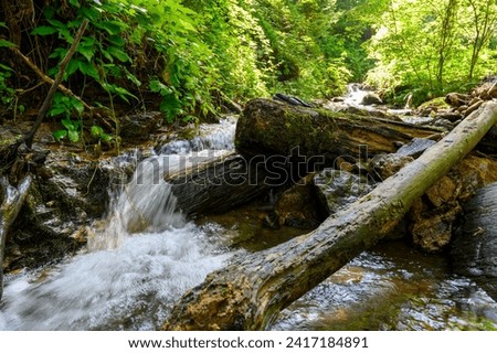 A small stream in the Heiligengeist Gorge near Leutschach in Austria. The water runs through a small waterfall and past stones and branches through the forest.