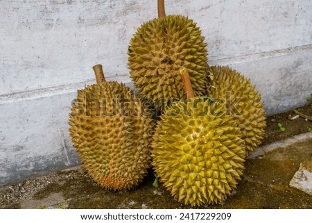 Local Indonesian durian is delicious and contains various vitamins and minerals, providing a delightful taste experience.