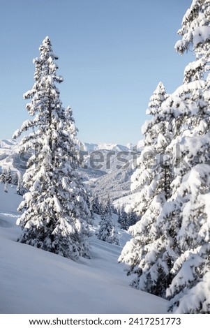 Winter in mountains. An amazing winter scenery with a lot of snow. White Christmas concept