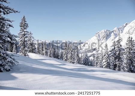 Snowy landscape. Winter in the Alps with a lot of fresh snow