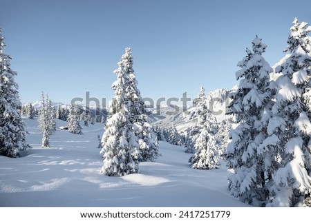 Winter mountain landscape with snowy forest and a small alpine chalet. Sunny frosty weather with clear blue sky
