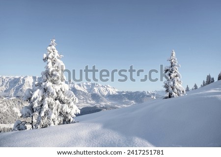 Snowy wintertime landscape in the Alps. Pine trees covered with snow and mountain range in the background