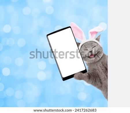 Happy kitten wearing easter rabbits ears holds big smartphone with white blank screen and looks from behind empty white banner on blue blurred background