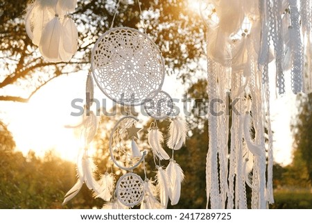 Magic dream catchers hanging on tree in garden, abstract natural sunny background. ethnic Shaman native amulet, symbol protection of dreams. beautiful talisman, witchcraft ritual for soul relax
