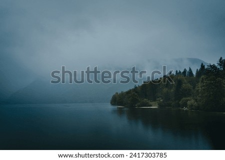 Moody picture of forest by the lake in a rainy, cloudy day with cold tones and blue tint.