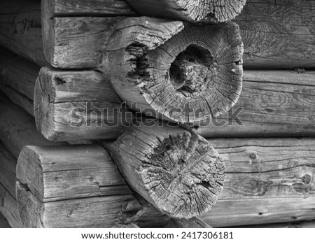 Fragment of a wall made of logs, close-up. Log house corner. Fragment of a wall made of logs. Wall of an eco-friendly wooden house. Tow between the logs on the wall of the old house.