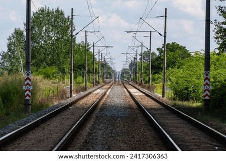 Long two pairs of s train tracks in the summer landscape