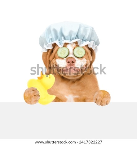 Smiling Mastiff puppy wearing shower cap with cream on it face, with pieces of cucumber on it eyes looks above empty white banner and holds rubber duck. isolated on white background