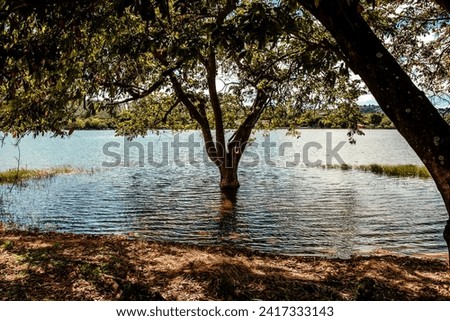 Shore of the lagoon in Lagoa Santa Minas Gerais Brazil