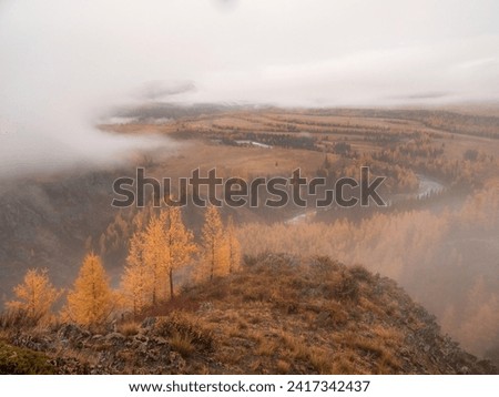 Soft focus. Thick snow clouds float over an autumn wooded mountain valley with a turquoise river. Fog in the mountain valley. Morning fog over the river in the Altai mountains.