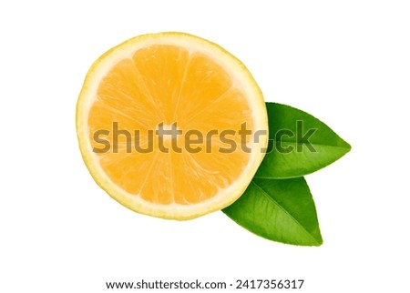 lemon slice on white background 