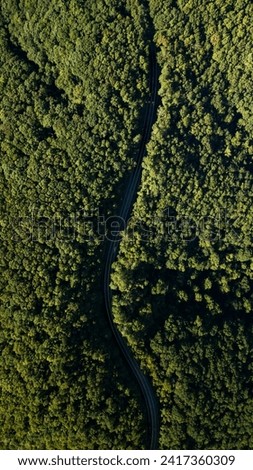 Aerial photo of a highway in the middle of the forest.