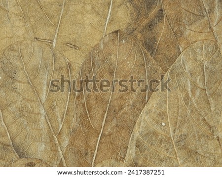 The texture of dried leaves with brown color.