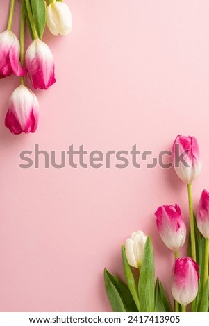 Birthday wishes for a special lady! Top view vertical image of vibrant tulips on a soft pink backdrop, offering a perfect canvas for your heartfelt message or advertisement