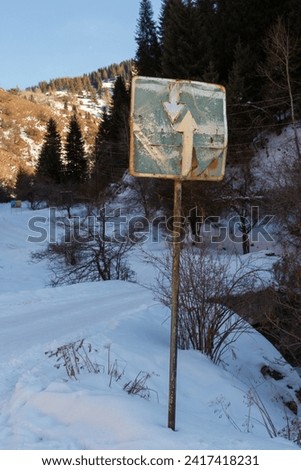 traffic priority sign in the mountains against the backdrop of fir trees