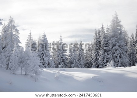Winter in mountains. An amazing winter scenery with a lot of snow