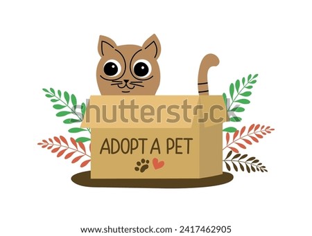 Adopt cat. Cute cartoon homeless kitten in box, on the street. Adopts pets and fosters them. Pet adoption concept. Text, inscription. Don't buy,  help homeless animals find a home. Flat design style.
