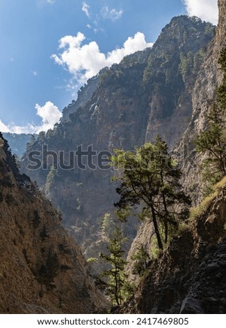A picture of the Samaria Gorge rugged landscape as seen from the ground.