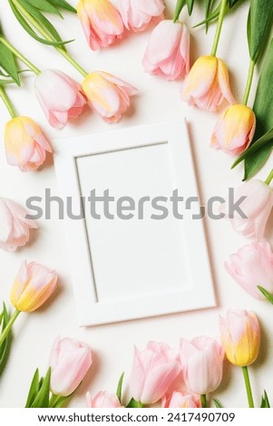 Light pink and yellow blooming tulips flowers row and white picture frame over white background. Spring holiday banner, happy easter card, mothers day concept. Flat lay, top view, copy space.