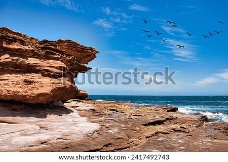 Heavily eroded red-brown sandstone cliffs and rock plateau with rock pools at the coast of Kalbarri National Park, Western Australia.
 Royalty-Free Stock Photo #2417492743