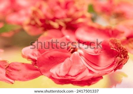 Wilted camellia flowers on a glass table.