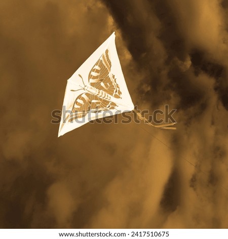 Flying paper white dragon, in the background of heaven with clouds, dragon with picture of butterfly, flying white kite, autumn scene, orange color, invert photo