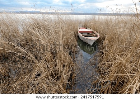 Wooden old white boat dinghy among the reeds in winter by the lake. Igneada national park, Mert Lake in Winter. Turkey. 2024. Dinghy rests at anchor in quiet water. Old Wooden Boat. Reeds and boat.
