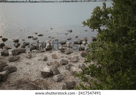 View over rocks in foreground and bay water looking south west from Turtle Crawl Point at War Veterans Memorial Park in St.Petersburg, Florida. Green trees on the side. Near sunset on a cloudy day. 

