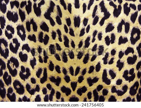 Wild animal skin pattern - material