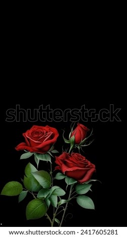 
Red roses with green leaves bloom perfectly