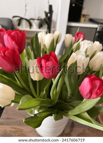 Picture of freshly picked tulips pink and white