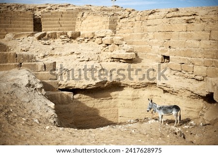 A donkey standing near the shaft of and ancient tomb in the ruines of Saqqara, Egypt Royalty-Free Stock Photo #2417628975