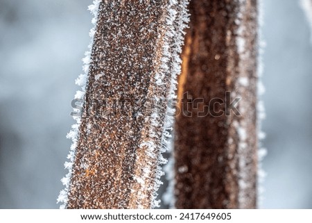 The rusty metal, covered with frost, froze. Royalty-Free Stock Photo #2417649605