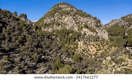 Puig de n'Escuder, and Olivar, Els Horts, green route of the olive tree,Caimari, Mallorca, spain