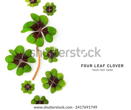Green four leaf clover creative layout isolated on white background. Lucky clover composition . St. Patrick day. Top view, flat lay. Design element

