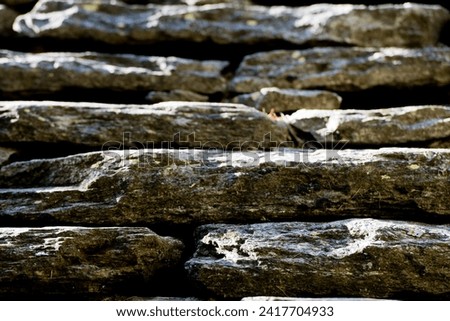 old cabin stone roof detail