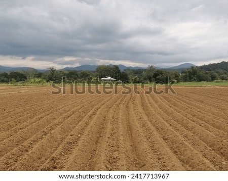 soil cultivation for new crop season