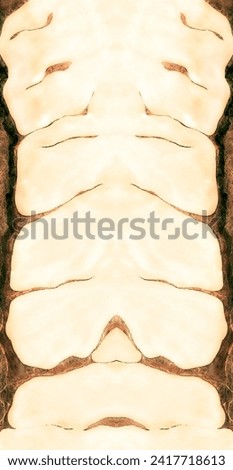  the disease of usa,   abstract symmetrical photograph of the deserts of U.S.A, from the air, conceptual photo, diffuser filter,