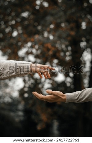 Hands of a husband and wife. Romantic photo shoot