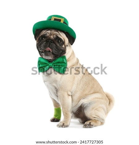 St. Patrick's day celebration. Cute pug dog with green bow tie and leprechaun hat isolated on white