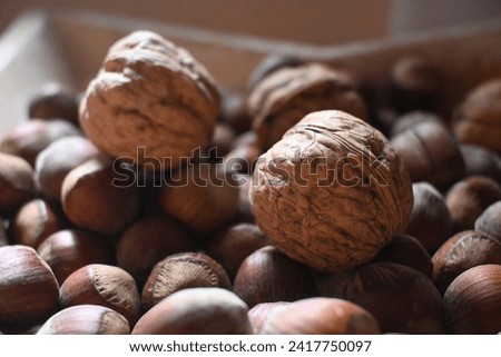 Torino, Italy - 25 01 2024: Dried fruit: walnuts and hazelnuts