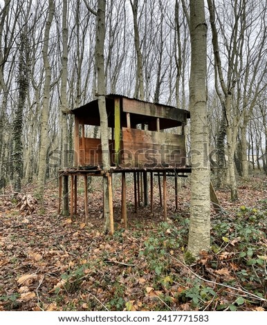 view of a large isolated and abandoned treehouse or playhouse or hut built by kids in a forest by autumn or winter season