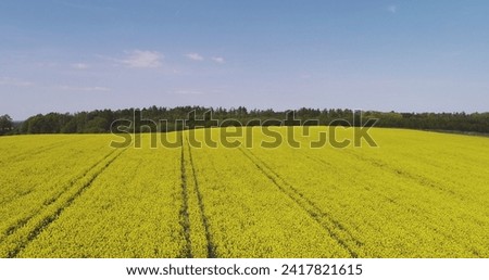 Drone shot of agricultural landscape against sky